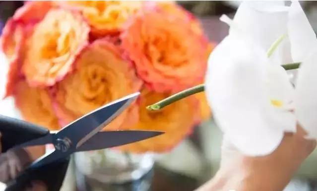 插花小技巧30秒,10个插花小技巧快收藏起来