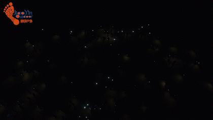 公司团建的正确打开方式,怎么做让企业和员工都满意的团建