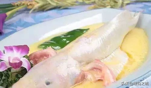 南通美食特色饭店推荐,南通特色美食合集视频