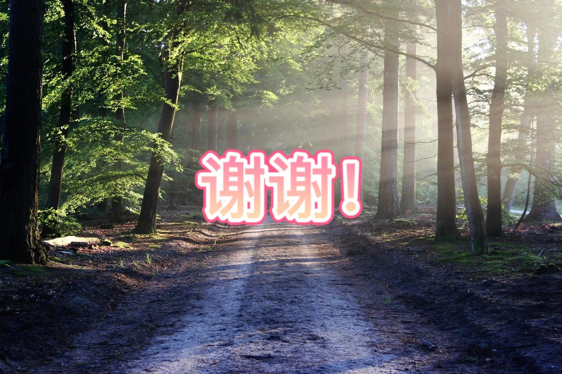 幽默解说恐怖片惊声尖笑,与惊声尖笑相似的搞笑恐怖片