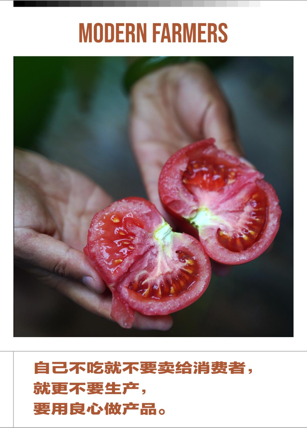 有机蔬菜为什么这么难,有机蔬菜如何种植