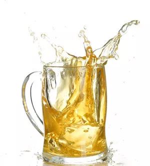 知食分子餐饮,知食分子啤酒怎么样