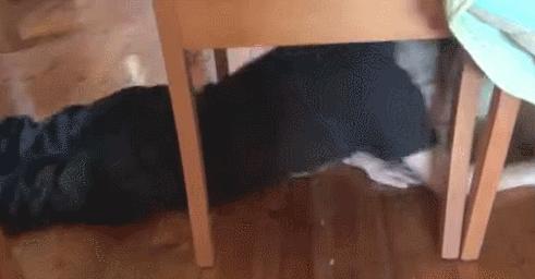 适合长高的运动游戏有哪些,春天的游戏有哪些