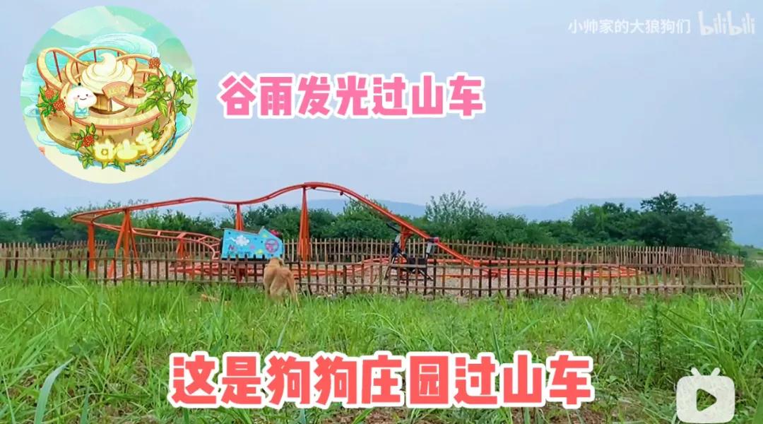 花三年建宠物乐园,花20万给狗打造乐园