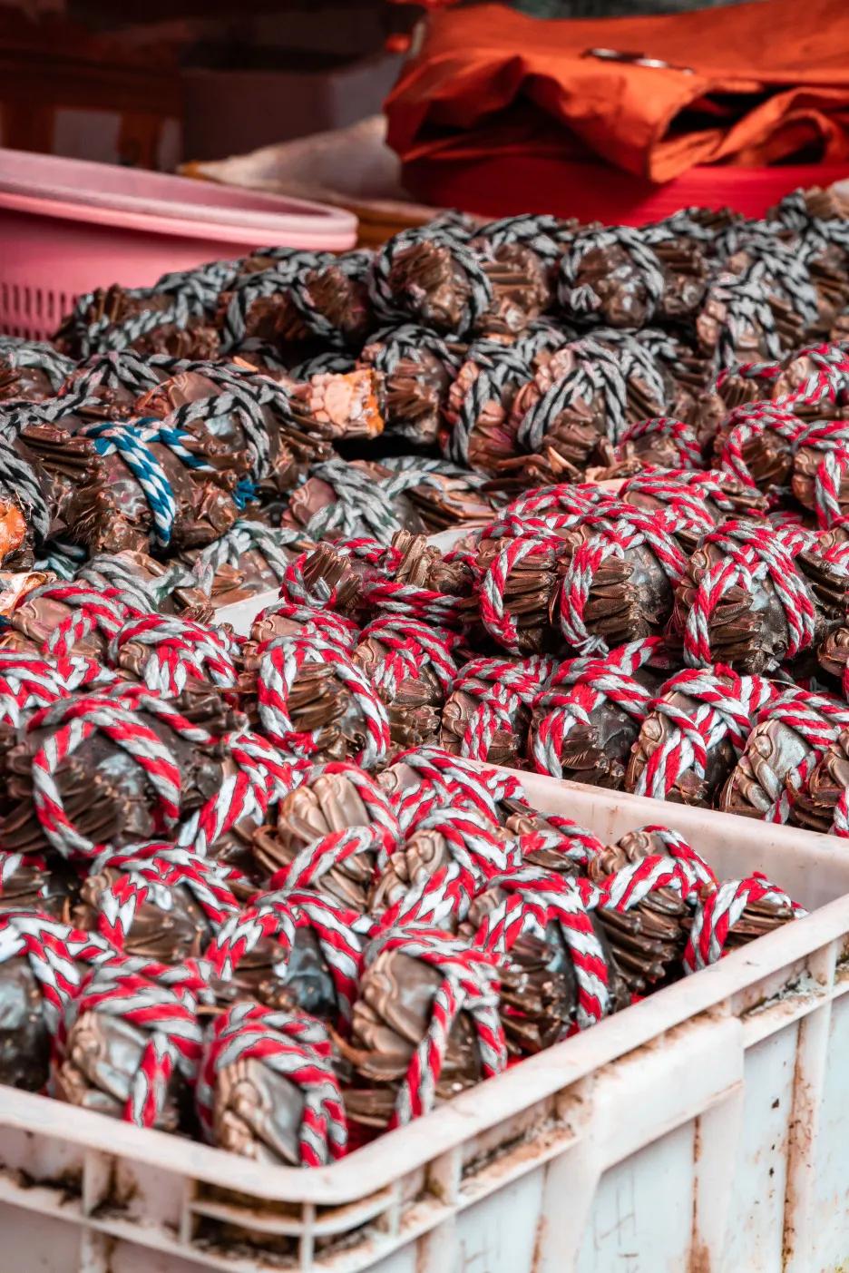 深圳宝安农批市场是几级,宝安农批市场在什么街道