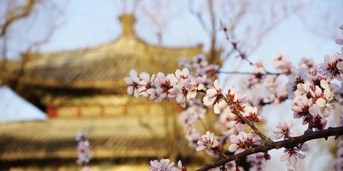 易经讲夫妻关系,百家讲坛讲易经