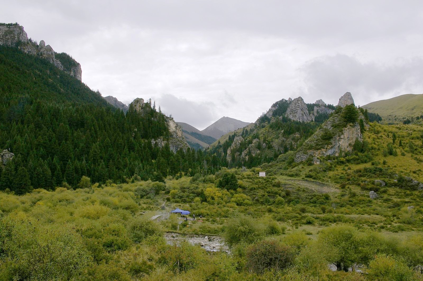 甘南则岔石林有什么好玩的地方,甘南碌曲则岔石林