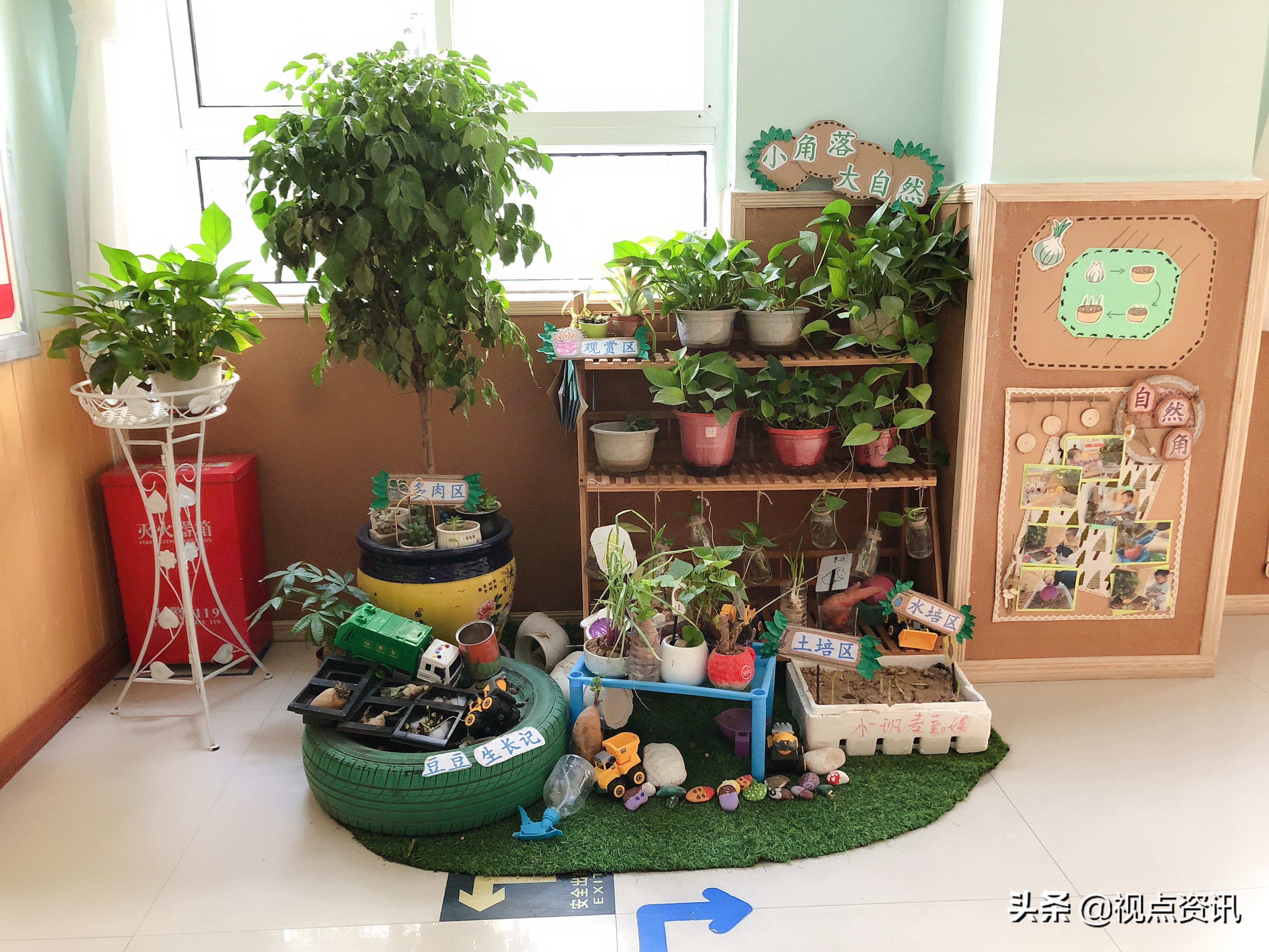 探析郑州市惠济区花园口幼儿园“育根教育”特色文化发展之路