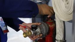 走，带你去看黄家湖畔的“蓝马甲”