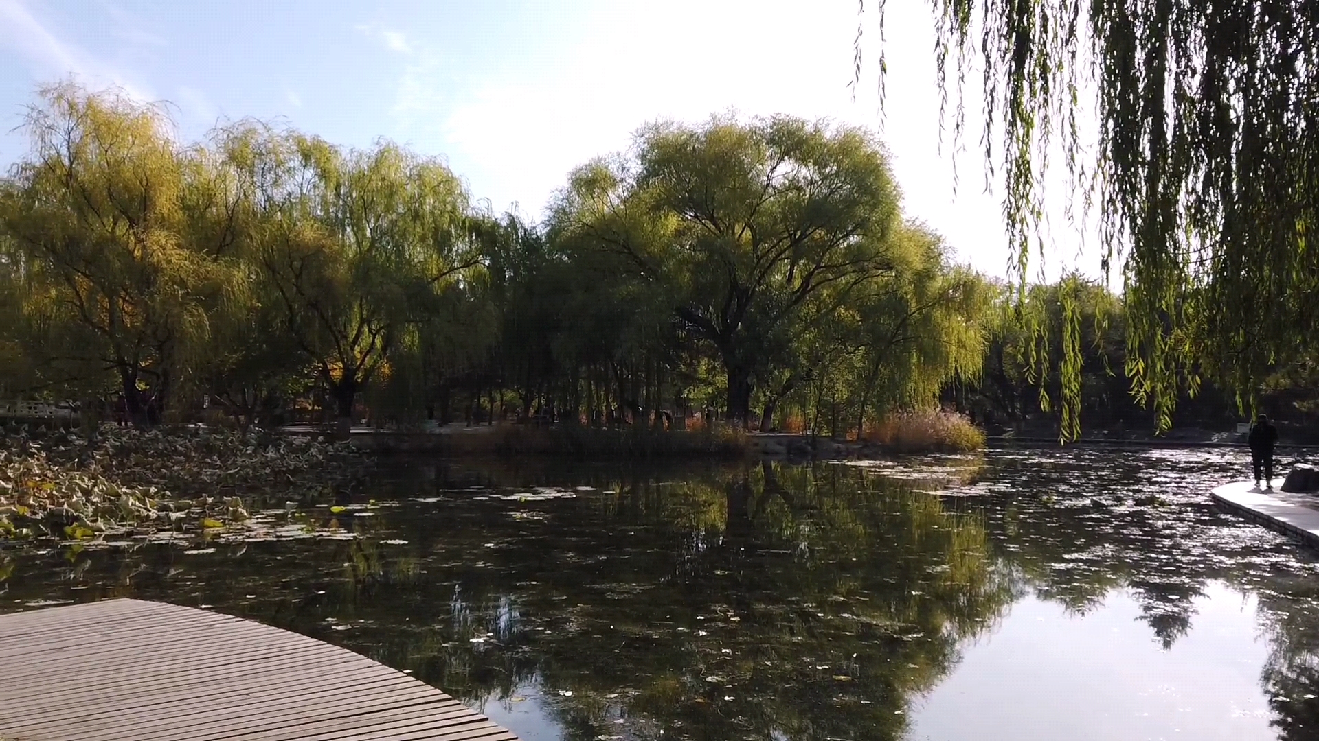 呼和浩特满都海公园晚上,呼和浩特市满都海公园有什么特点