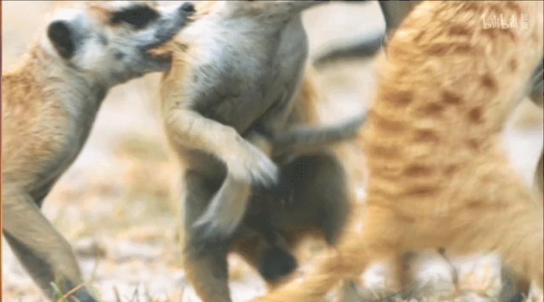 豆瓣评分9.5以上的国产电影有哪些,十部顶级神片推荐