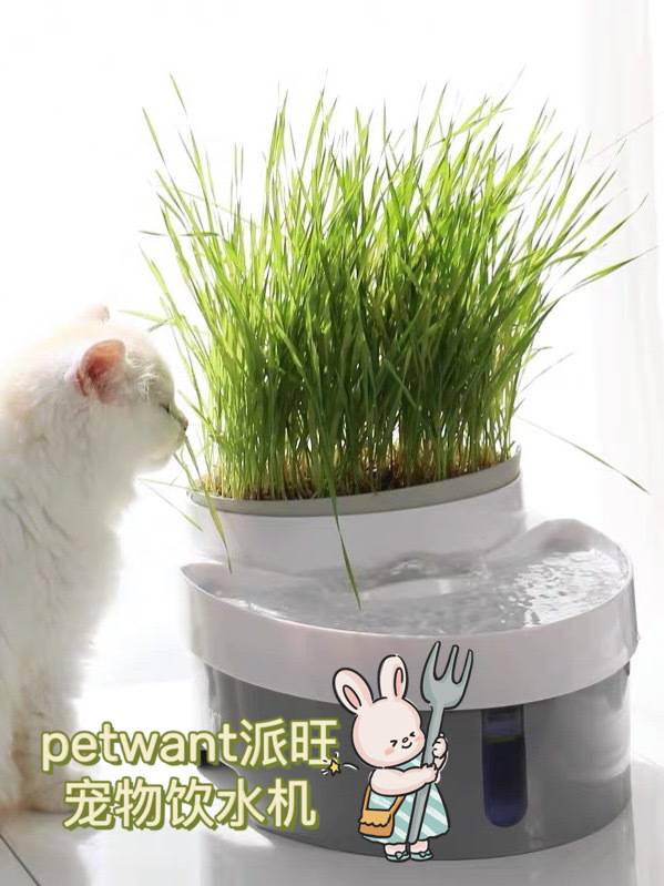 猫咪用品必买清单猫咪饮水机,猫咪饮水机实用推荐