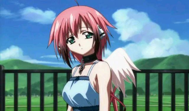 该学习知识了！如果这些词都不知啥意思，不要再说自己老二次元了