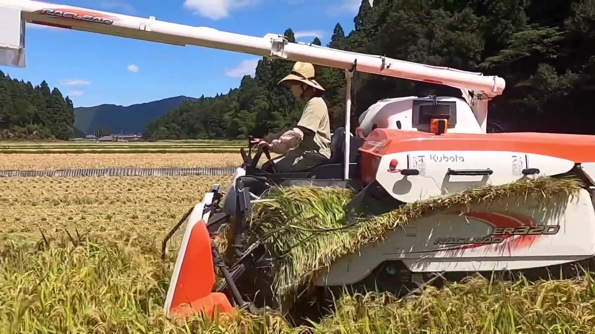 久保田230收割机一小时能割多少亩,久保田小型收割机2023新款价目表
