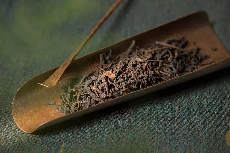 多特利老六堡1995|古法包装、外销回流，这款老六堡不负期待