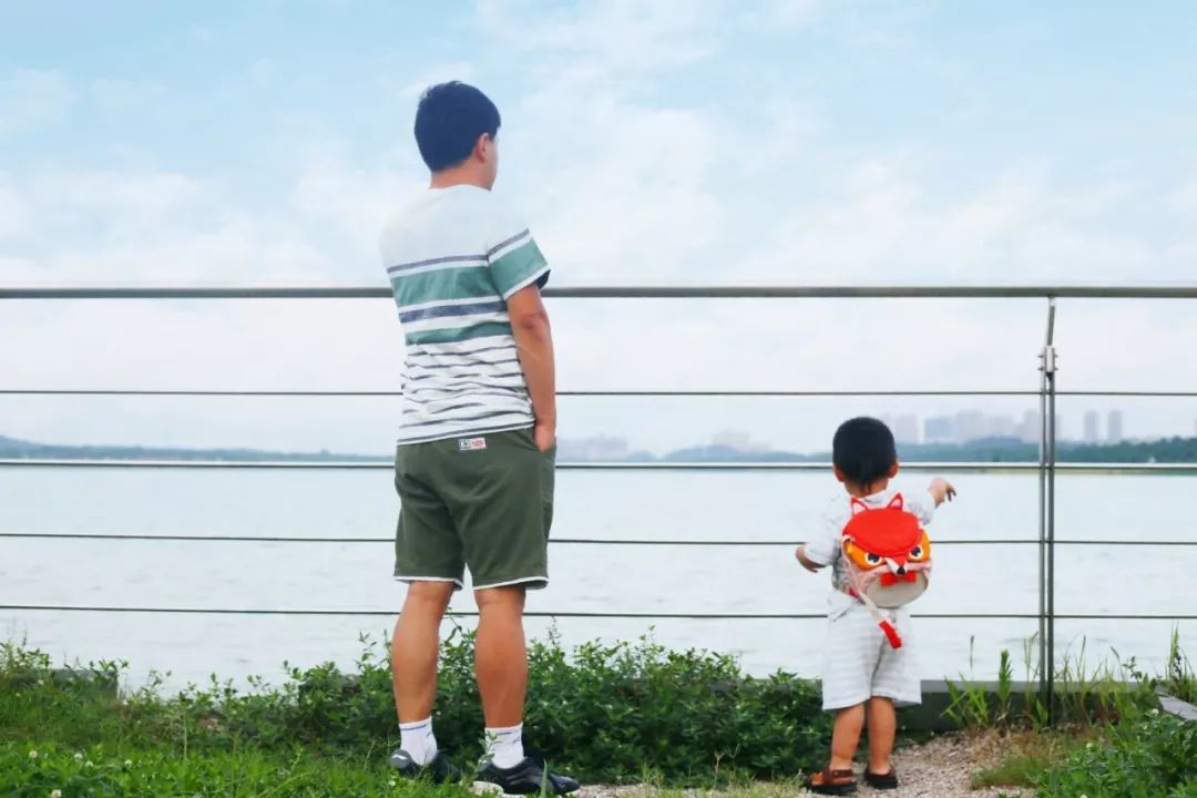 杰米克男士短袖t恤,杰米克男t恤官方旗舰店