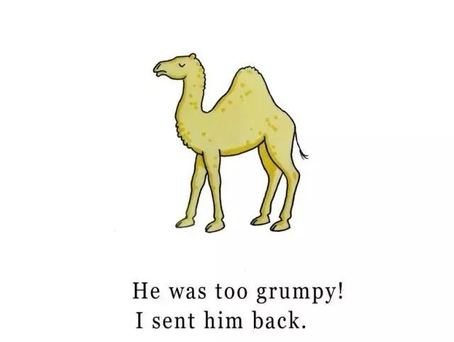 英语绘本阅读dearzoo完整版,dearzoo英语绘本阅读