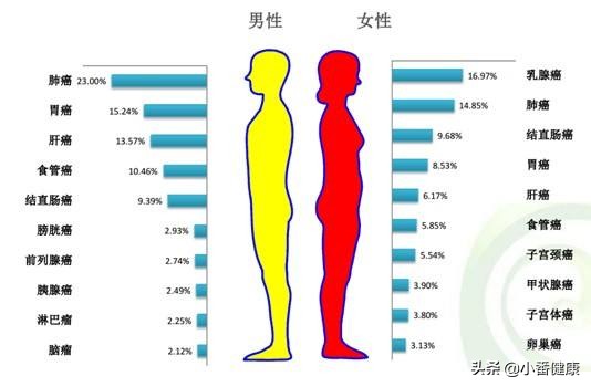 乙肝随访需要查什么,乙肝观察期多久