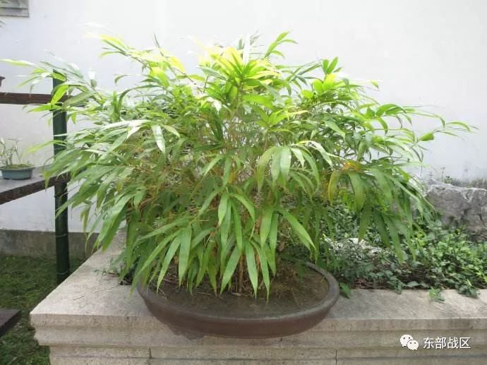 一封催人泪下的家书手写,一封家书感人完整版