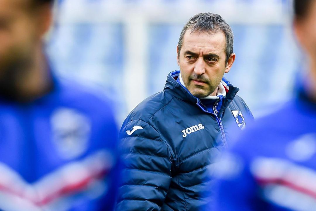 米兰干枯的根坏了,米兰一半枝条干枯死了咋回事