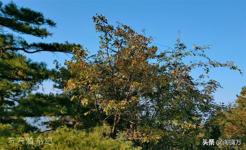 趁青春多折腾,趁着年轻四处游一游