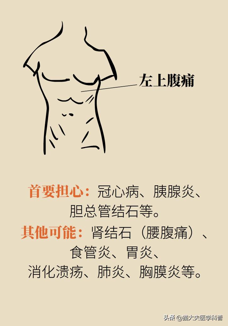 突然毫无征兆的肚子疼怎么办,肚子疼不是胃的问题还可能是什么