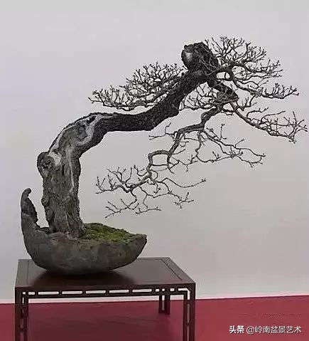 鎮礀缁濆閫㈢敓,鎮礀鐩嗘櫙澶у叏