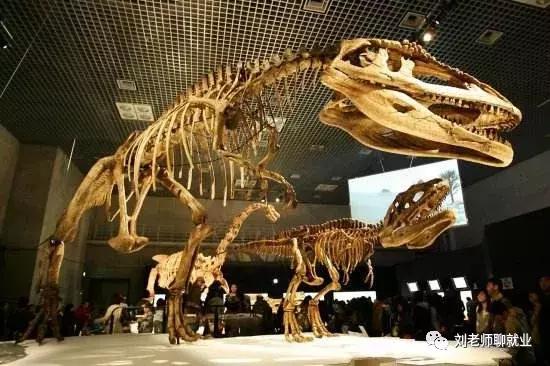 带你看国企,带大家看看单位的公务车辆