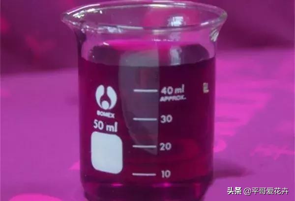 植物严重冻伤太阳晒可以怎么挽救,植物冻害补救最佳方法