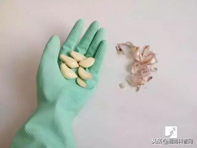 衣服粘毛毛小妙招,洗衣机洗衣服衣服粘毛怎么解决