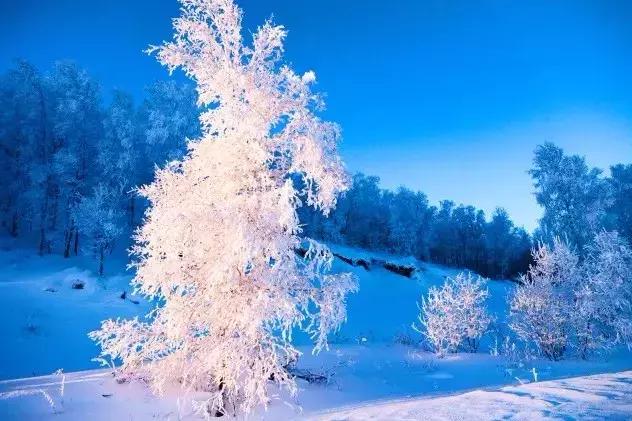 雾凇之美宛若仙境,连云港花果山雾凇美得像仙境