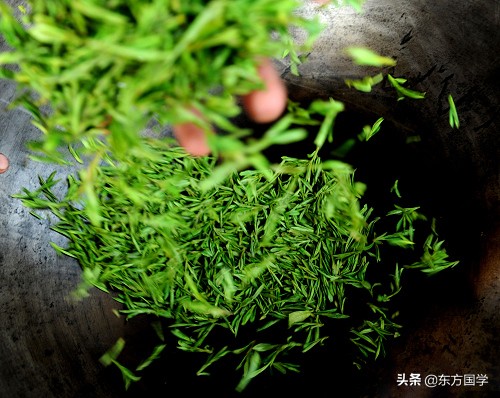 漫漫问茶路，能不忆江南？——久负盛名的“香郁若兰”