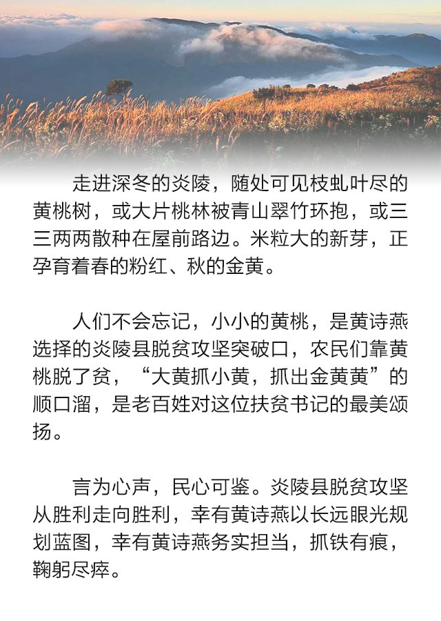 待到山花烂漫——追记“最美扶贫书记”黄诗燕