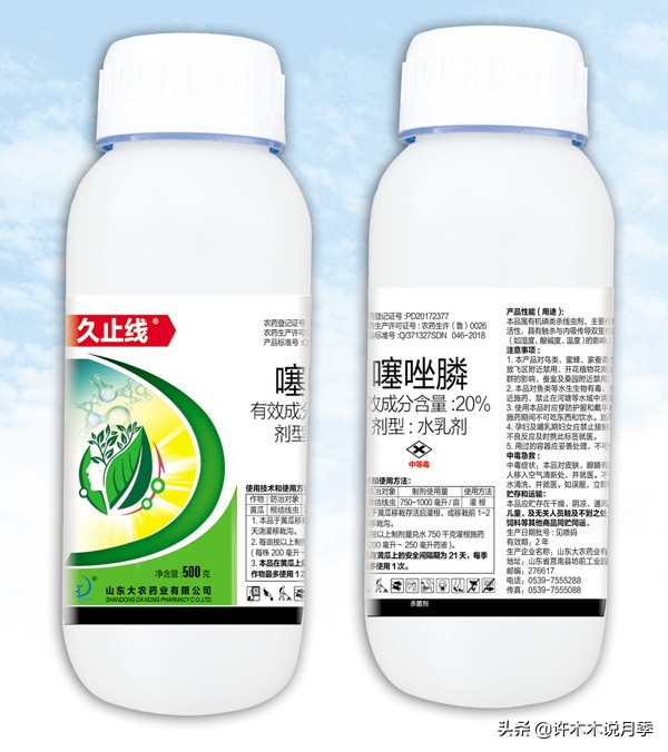 月季根瘤预防,月季根瘤传染别的植物吗