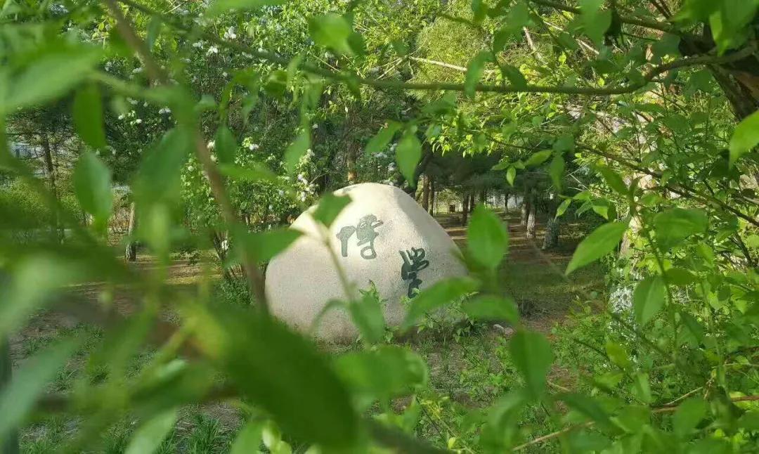 延边大学2020级新生开始报到,延边大学让家长送大一新生进学校