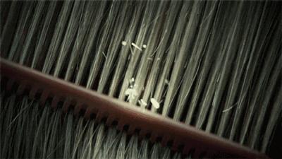 防静电小妙招用水喷一下,这个冬天你被电了吗教你防静电