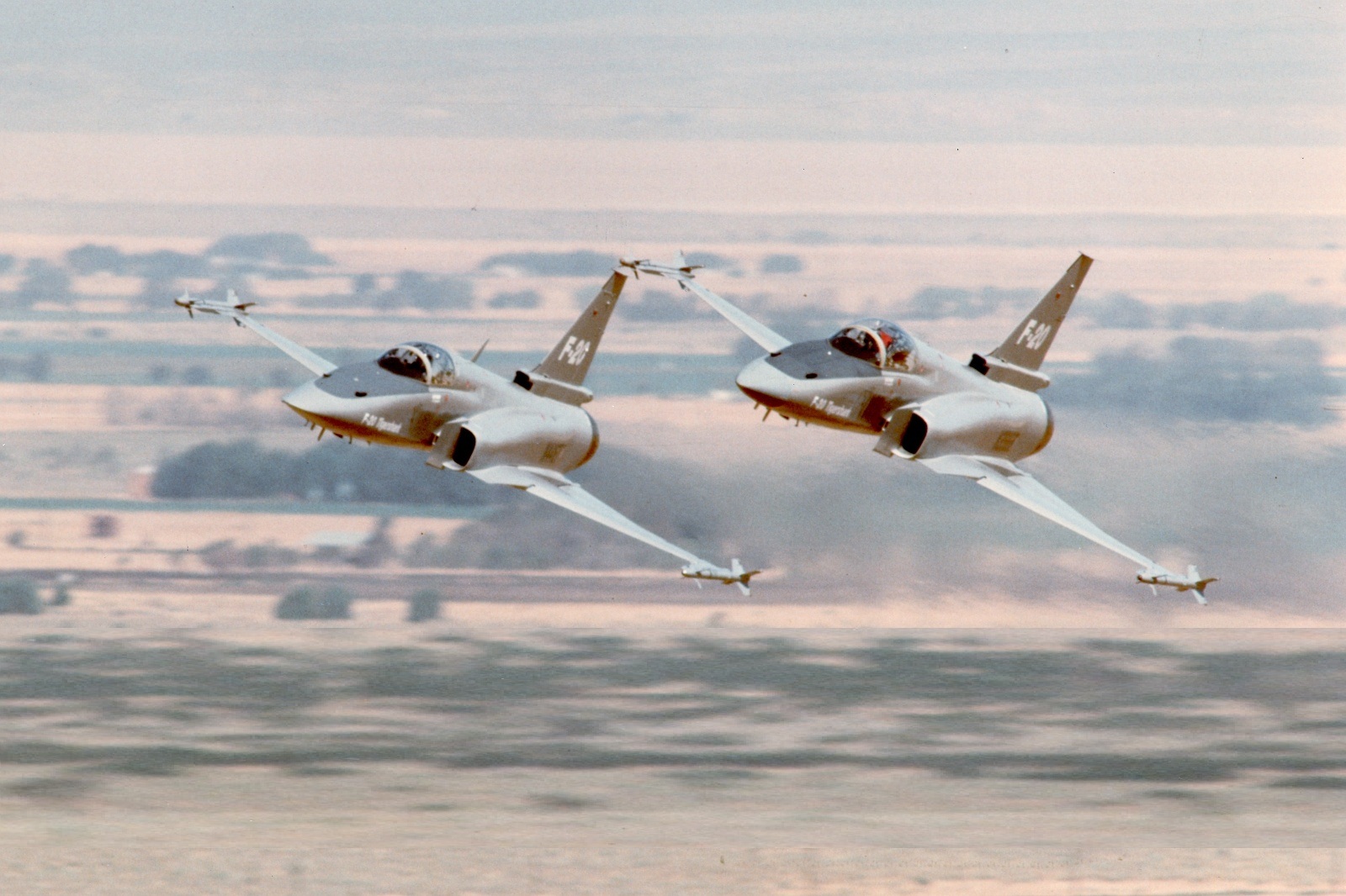 虎鲨悲剧,极富悲剧色彩的虎鲸