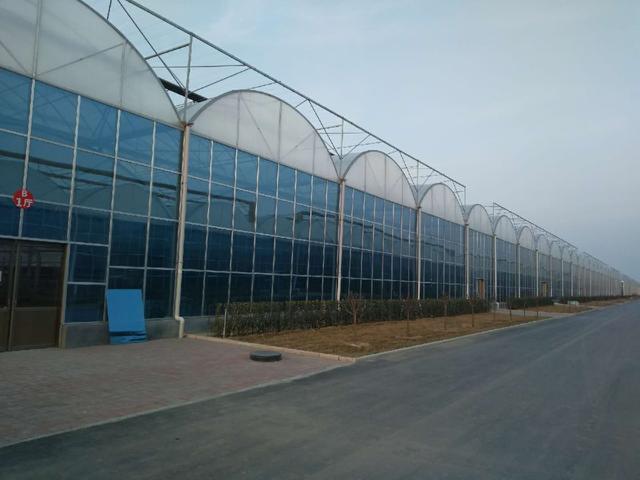 简易薄膜连栋温室大棚建造全过程,连栋薄膜连体温室大棚大全