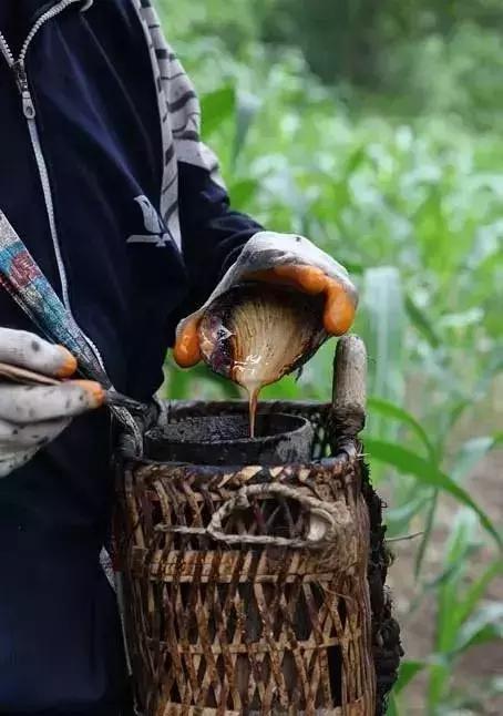 桐油跟水性油漆有什么区别,土漆和桐油的区别