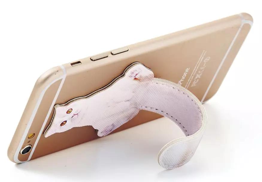 日本人又来骗猫奴们的钱啦!但我心甘情愿掏钱了!