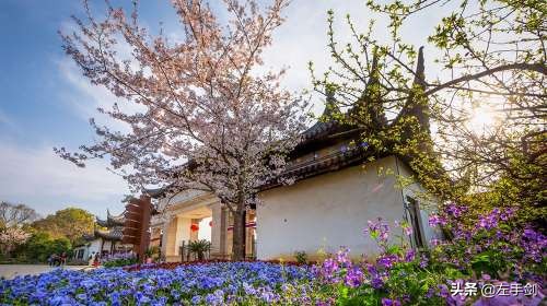 苏州上方山森林公园作文,苏州上方山国家森林公园电话