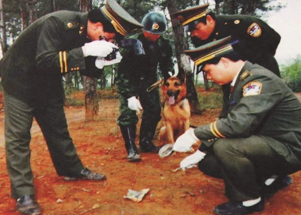 嚣张的杀人狂魔,杀人狂魔河南