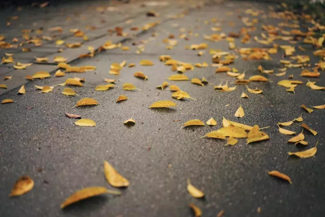 中国历史最高水平40首古诗,千古绝唱十首最经典情感古诗词