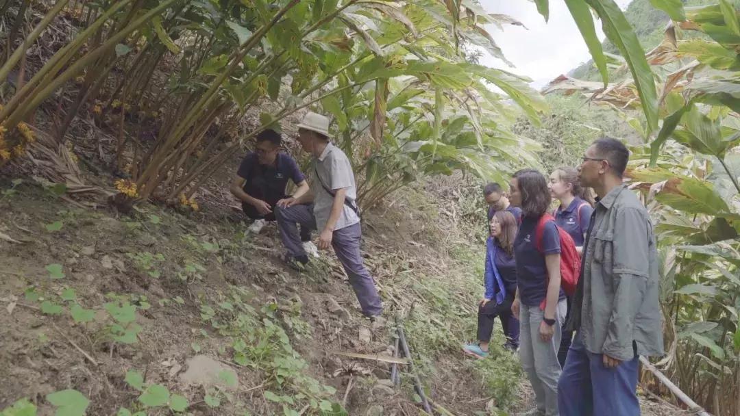 字节跳动里面的冷门部门,字节跳动十大奇葩岗位