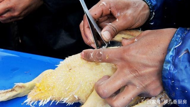 家养鸭子怎么处理粪便,农村鸭子怎么养吃什么