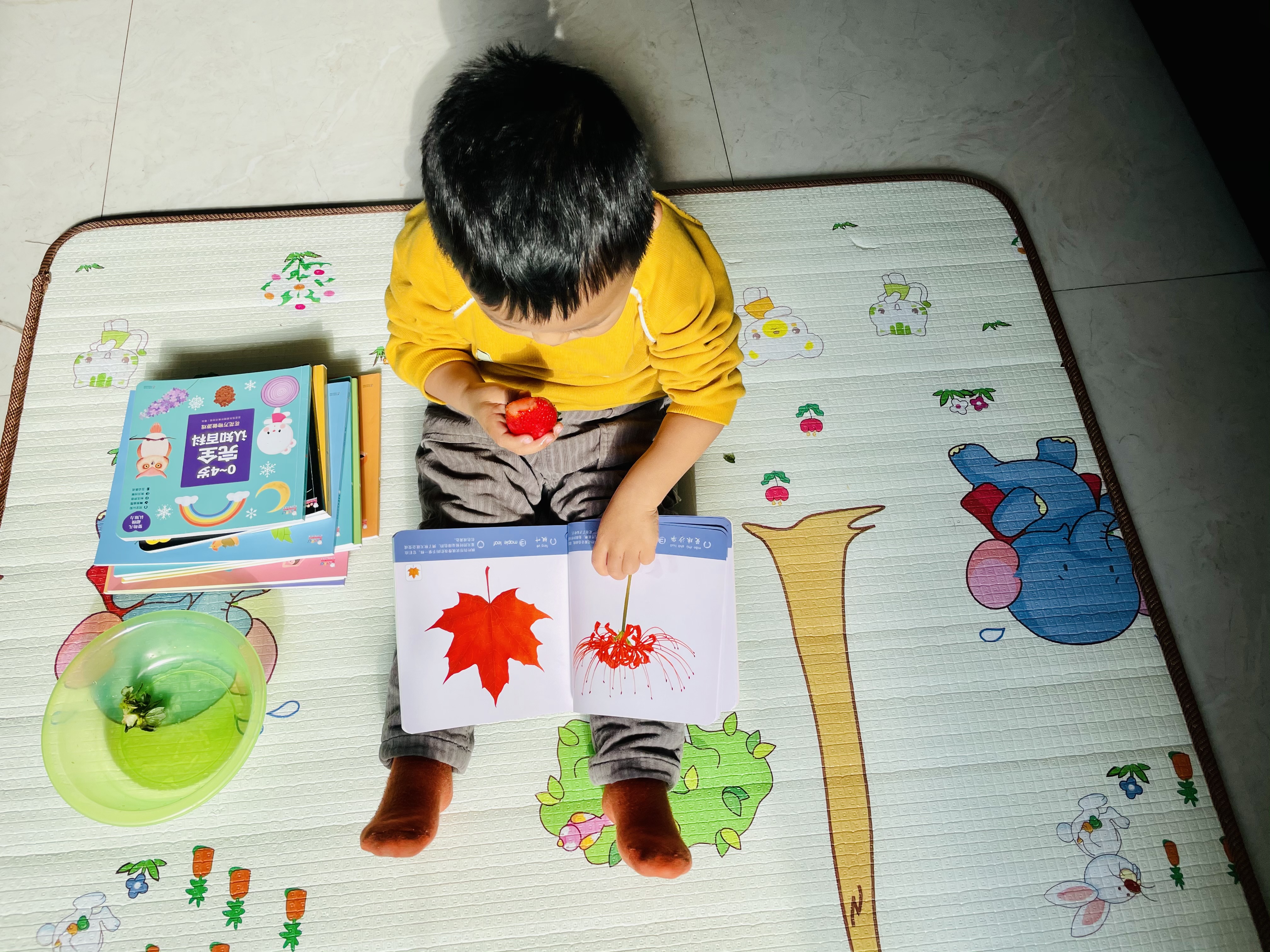 犹太人的智慧和教育方法,犹太人的早教