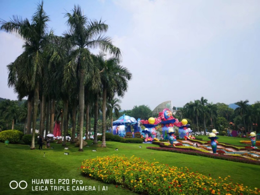 广州云台花园花展,广州云台花园咋样