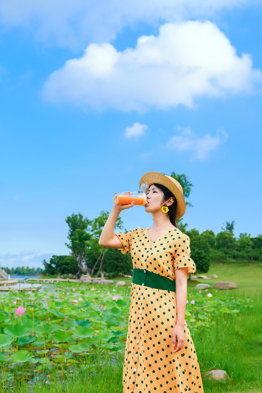 八月的锡林郭勒,8月的锡林郭勒