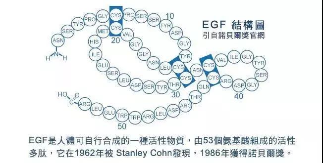 倪妮的肌肤怎么变好看,倪妮护肤