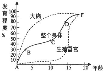 人教版七年级生物下册第1章《人的由来》综合复习(含解析答案)